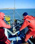 USGS Studies in Long Island Sound