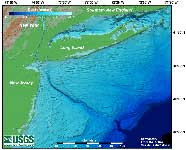 New York Bight Apex Area