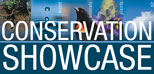 Conservation Showcase