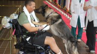 Staff Sgt. Brian Williams and his military working dog Carly greet each other at Walter Reed National Military Medical Center in Bethesda, Md.