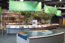 main hall in the Florida Keys Eco-Discovery Center