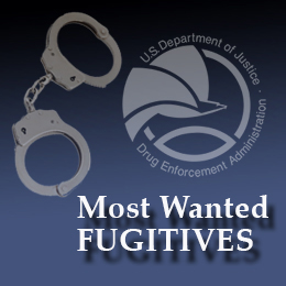  Most Wanted Fugitive hover image