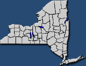 Map of New York State