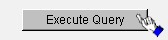 Click the 'Execute Query' button.