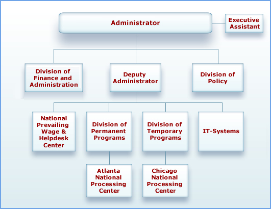 Office of Foreign Labor Certification's Structure
