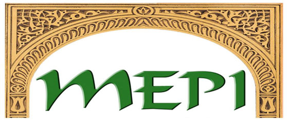 MEPI logo