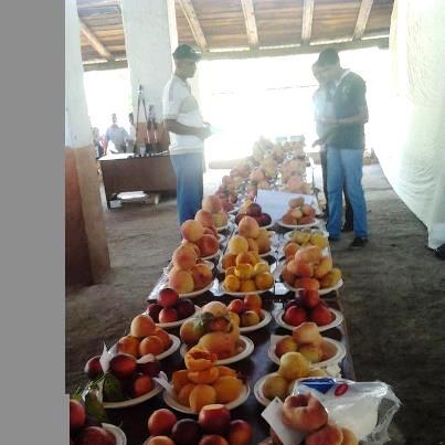 The extensive variety of peaches in Quvasay tasted as good as they looked! (U.S. Embassy photo)