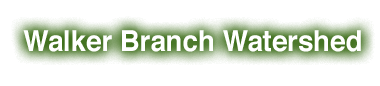 Walker Branch Watershed