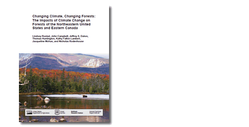 Cover image of Changing climates, changing forests: : The impacts of climate change on forests of the northeastern United States and eastern Canada.