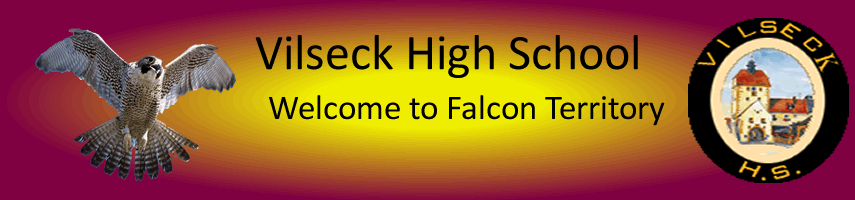 Vilseck HS baneer with image of falcon, the school mascot