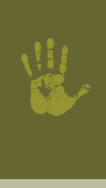 Illustration of a hand print.