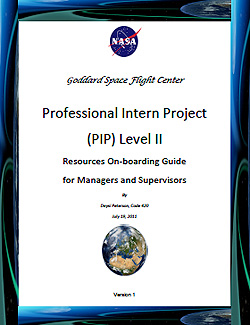Professional_Intern_Project