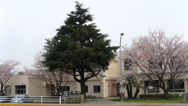 school photograph