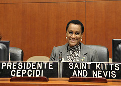 Current Chair of CEPCIDI  chairs a meeting in the Simon Bolivar room at OAS headquarters in Washington, D.C.  (OAS Photo)