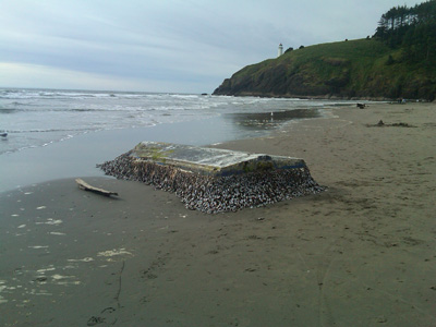 Debris in Alaksa