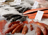 The Surprising Sources of Your Favorite Seafoods