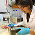 Photo of a researcher working in the lab