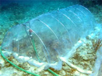 Submersible Habitat for Analyzing Reef Quality