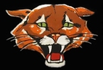 Cougar Chronicles Icon