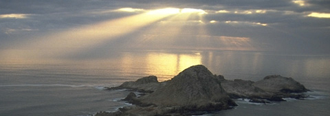 South East Farallon Island