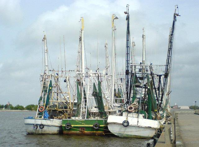 shrimp boats