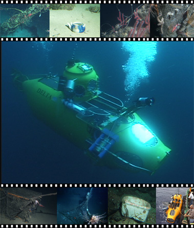 Marine debris video graphic - small