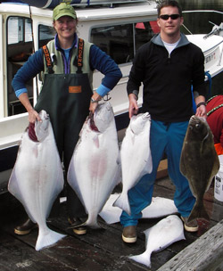 sport caught halibut