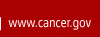 www.cancer.gov