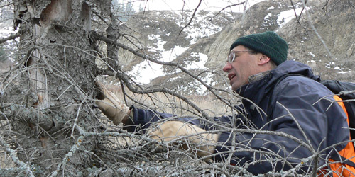 Learn how Meritorious Award recipient Dr. Craig Allen has linked climate change and forest die-off in the U.S. Southwest to forest changes worldwide.