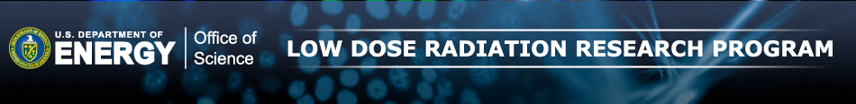 Lowdose Website Banner