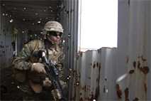 Marine Corps Air Station New River and Cherry Point squadrons join forces with Marines from Company C, 1st Battalion, 6th Marine Regiment, to complete a notional mission of killing or capturing a simulated high-value target during a raid. 