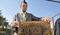 Babil PRT Supports Babylon Beekeepers Association