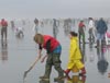 beach cleanup