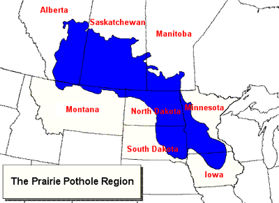 Map of the northern Great Plains states and the Southern provinces that shows the prairie pothole region. The region spans from southern Alberta, Saskatchewan, and the southwestern portion of Manitoba Canada through northern Montana, North Dakota, Minnesota, South Dakota, and Iowa.