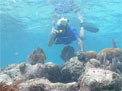 Gene Shinn photographs one of several coral reef sites he has chronicled for five decades.