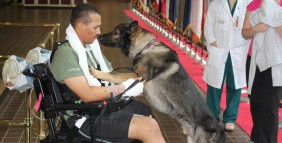 Staff Sgt. Brian Williams and his military working dog Carly greet each other at Walter Reed National Military Medical Center in Bethesda, Md.