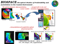 CLICK HERE: BIOSPACE (Bio-optical Studies of Predictability and Assimilation in the Coastal Environment