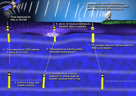 Schematic of Argo functionality in ocean