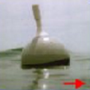 Surface Drifting Buoys