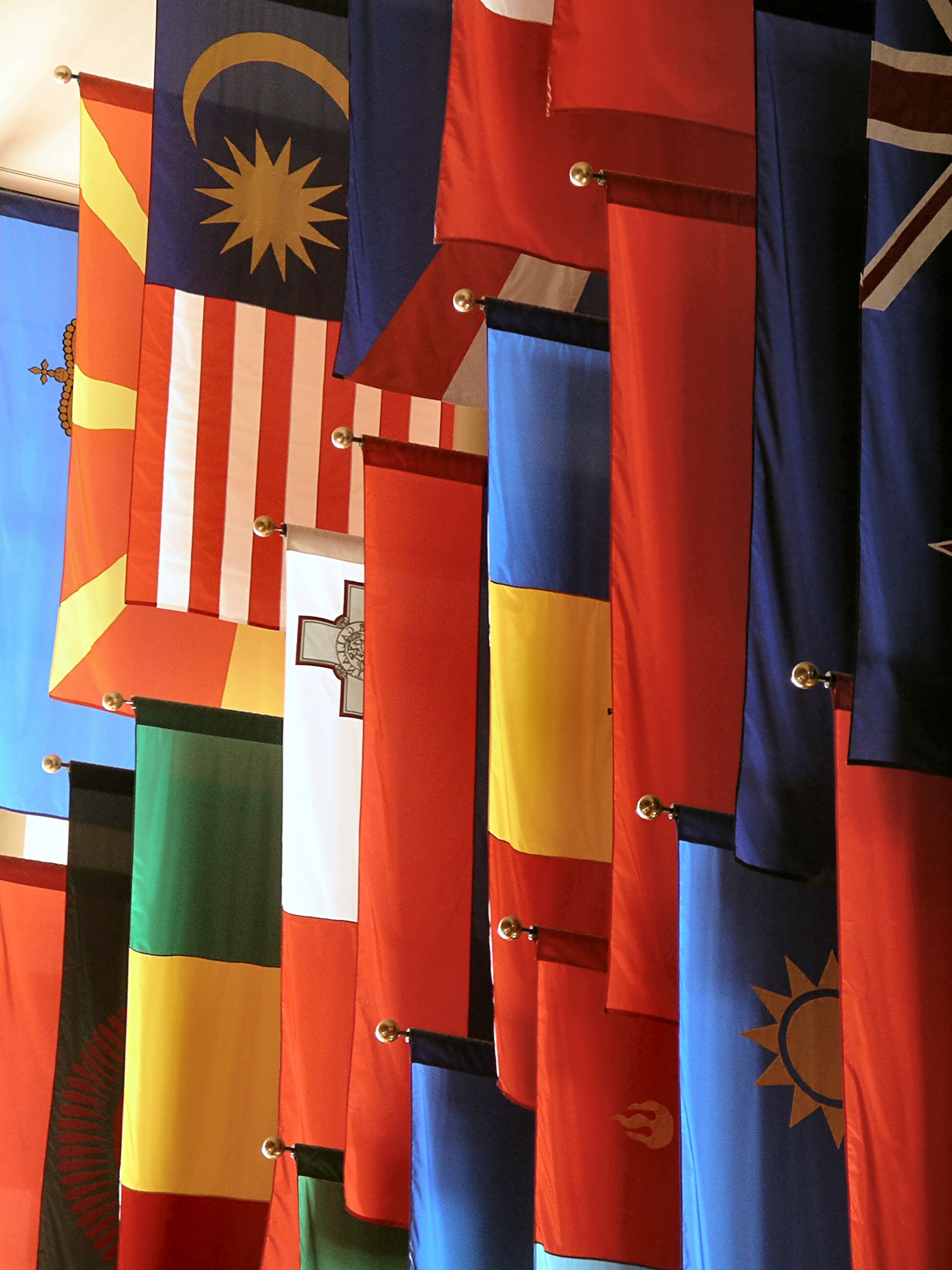 SCO Flags Image