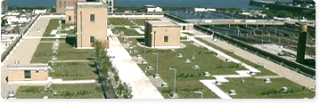 A clean, modern city landscape, seen from a distance. There are a handful of buildings of varying heights, surrounded by plots of well-kept grass.