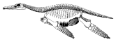 Marine reptile skeleton icon