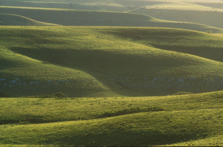 picture of Konza Prairie