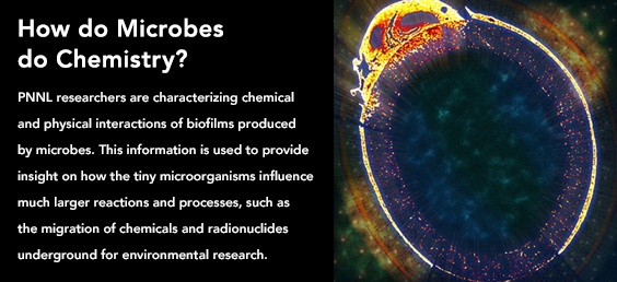 How do Microbes do Chemistry?