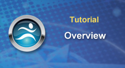 Tutorial Overview