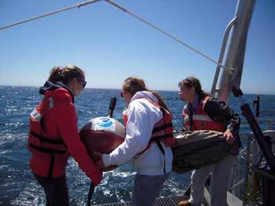 Students launch a surface drifter from the National Marine Sanctuary vessel Fulmar