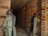 Monitoring the chemical weapons stockpile 