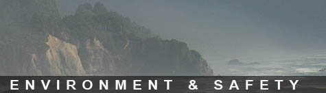 environment, security and safety banner