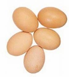 eggs