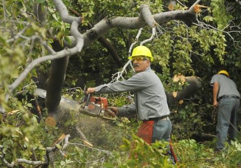 Pictures- Hurricane Irene - baltimoresun